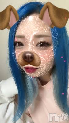 ȯѥ˥󥯥֥ѥ˥LA.JEUNESSE(ѥ˥饸ͥ) ܥɤ1128̥֥ɼ꿧