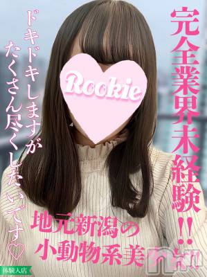 ひな☆体験入店3日目(21) 身長148cm、スリーサイズB82(B).W55.H83。長岡デリヘル ROOKIE(ルーキー)在籍。