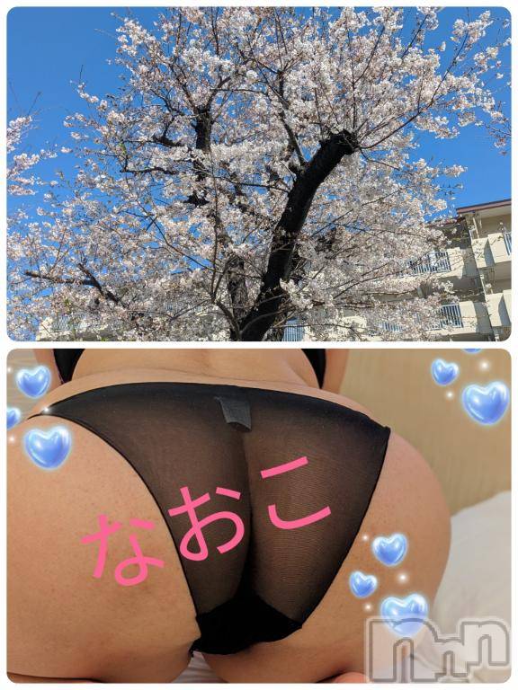 松本発デリヘル松本人妻隊(マツモトヒトヅマタイ)なおこ(43)の2026年4月3日写メブログ「4月9日から出勤します(´▽`)ﾉ」