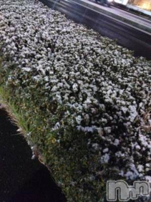 松本発デリヘル 松本人妻隊(マツモトヒトヅマタイ) なおこ(43)の12月22日写メブログ「本日もありがとうございました😊」