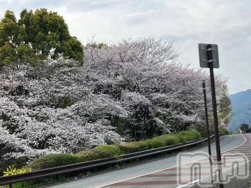 松本発デリヘル 松本人妻隊(マツモトヒトヅマタイ) なおこ(43)の4月16日写メブログ「お昼🍴🌞」
