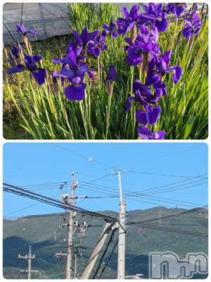 松本発デリヘル 松本人妻隊(マツモトヒトヅマタイ) なおこ(43)の5月9日写メブログ「到着しました(*^^*)」