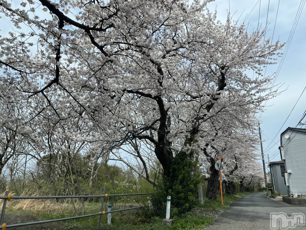新潟人妻デリヘル不倫檸檬(フリンレモン) 麗奈（れいな）(45)の4月10日写メブログ「鳥屋野潟のホテル街💓」