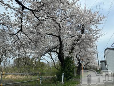 新潟デリヘル Secret Love(シークレットラブ) 麗奈（れいな）(45)の4月10日写メブログ「鳥屋野潟のホテル街💓」