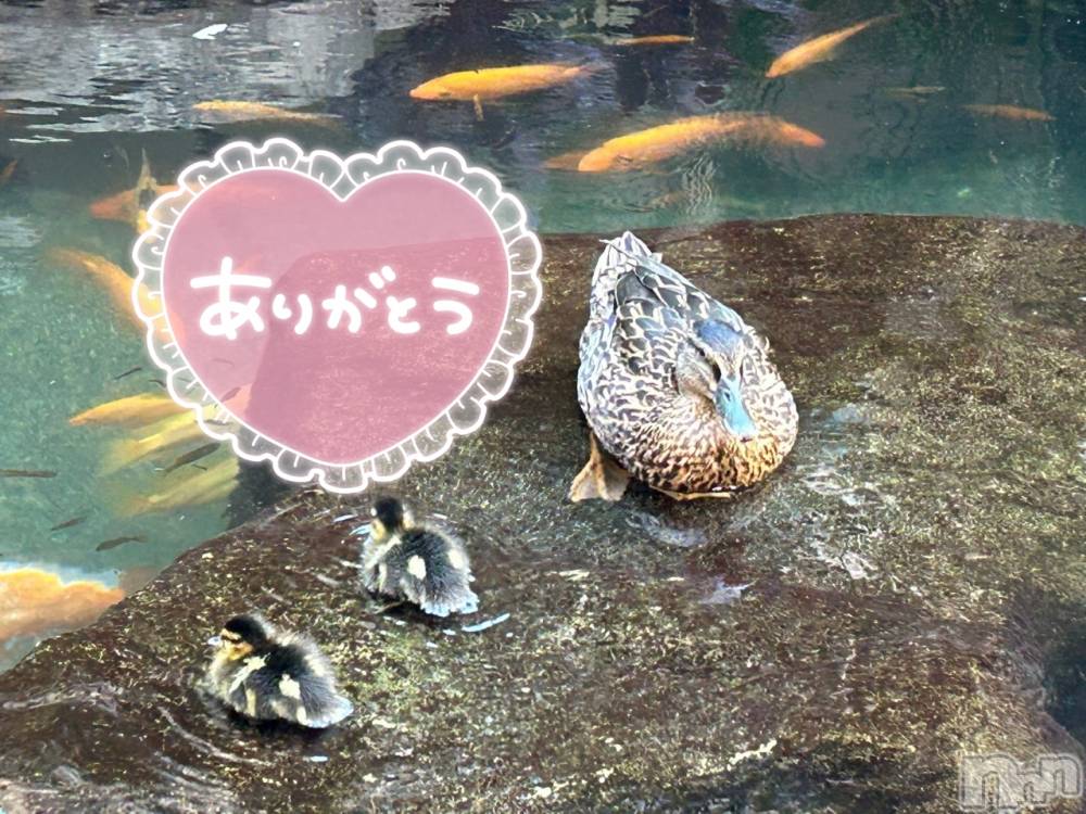 上田発人妻デリヘル人妻華道 上田店(ヒトヅマハナミチウエダテン) 【熟女】けいこ(57)の12月1日写メブログ「こんばんは😃🌃」