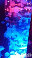 上田発デリヘル人妻華道 上田店(ヒトヅマハナミチウエダテン) 【熟女】けいこ(57)の7月7日写メブログ「おはよう👋😆✨」