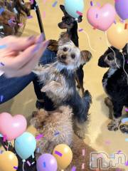 上田発デリヘル人妻華道 上田店(ヒトヅマハナミチウエダテン) 【熟女】けいこ(57)の7月4日写メブログ「おはよう👋」