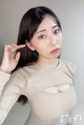 ȯѥ˥󥯥ֿ㥳ѥ˥ -϶15ǯοȼ-(˥ѥ˥󥹥) ʡ쥭(20)112̥֥֥ե📷✨