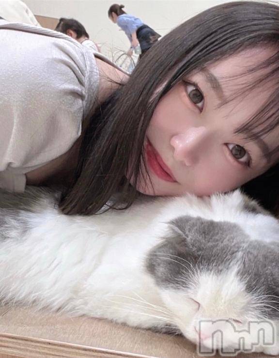 長岡デリヘル純・無垢(ジュンムク) アリス(19)の5月6日写メブログ「🐈‍⬛最終日🎀」