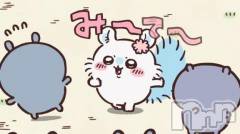 新潟ソープ新潟バニーコレクション(ニイガタバニーコレクション) ミユ(20)の12月31日写メブログ「み～て～」