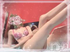 新潟ソープ新潟バニーコレクション(ニイガタバニーコレクション) ミユ(20)の2月25日写メブログ「昨日13:30~仲良しさんのT様‎🤍」