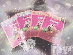 新潟ソープ新潟バニーコレクション(ニイガタバニーコレクション) ミユ(20)の3月31日写メブログ「ラスト枠~仲良しさんのS様‎🤍」