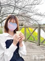 新潟人妻デリヘル熟女の風俗 最終章(ジュクジョノフウゾクサイシュウショウ) みさ(36)の4月18日写メブログ「みさと桜…♡」