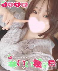 長岡デリヘル奥様特急 長岡店(オクサマトッキュウナガオカテン) まさき(22)の11月15日写メブログ「えっ、もうΣ( ˙꒳​˙  )！？」