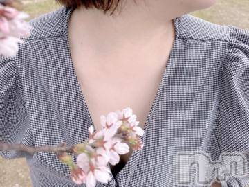 長岡デリヘル 奥様特急 長岡店(オクサマトッキュウナガオカテン) まさき(22)の4月9日写メブログ「桜と谷間🍼🌸」