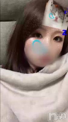 ڤʥݥ