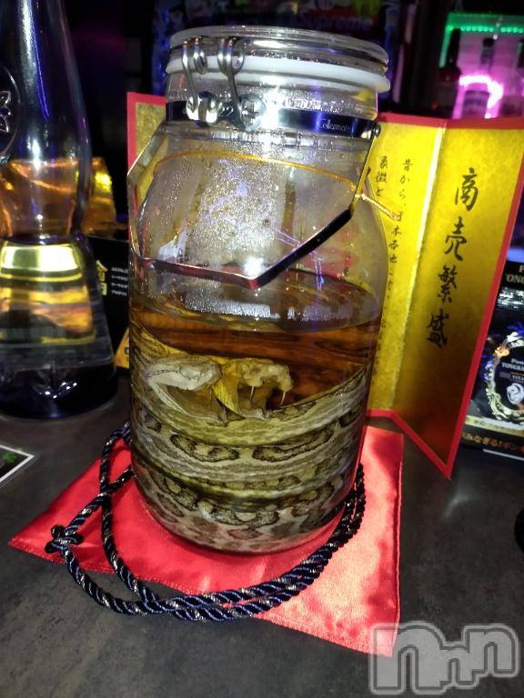 新潟デリヘル奥様特急 新潟店(オクサマトッキュウニイガタテン)あいす(24)の2026年3月9日写メブログ「次回5月17から20に出ます！」