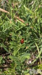 上田発デリヘルBIBLE～奥様の性書～(バイブル～オクサマノセイショ～) ◇マリ◇(41)の4月19日写メブログ「幸せ見つけた！」