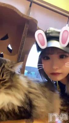ǭե😸