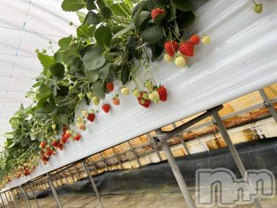 Х顦֥֥֥饦󥸤ޤʤߤ(֥֥饦󥸥ޥʥߥ) (24)410̥֥֤🍓