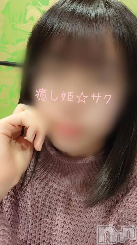 松本発ぽっちゃり癒し姫 松本店(イヤシヒメマツモトテン) 【S】天音サク(32)の2月12日写メブログ「まとまっている認定」