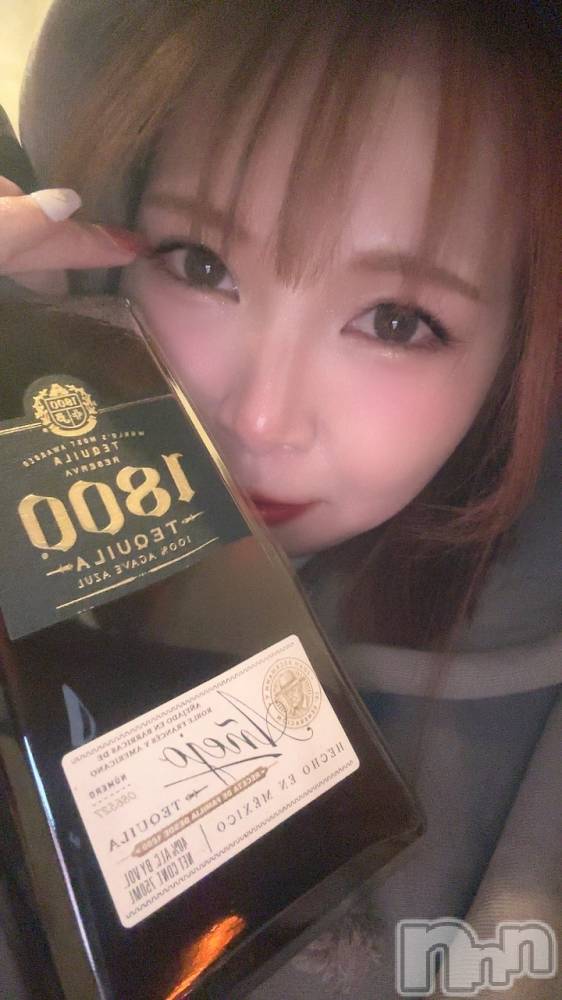 Įʥå륺СNIGHT LOUNGE clan(ʥȥ饦󥸥)  512ֺ̥֥ää