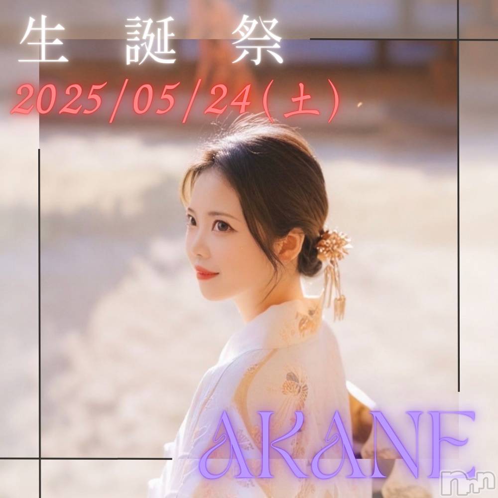 Įʥå륺СNIGHT LOUNGE clan(ʥȥ饦󥸥)  519ֺ̥֥24衪
