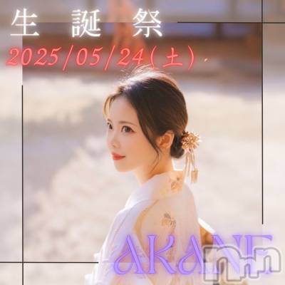 Įʥå륺СNIGHT LOUNGE clan(ʥȥ饦󥸥)  519ֺ̥֥24衪