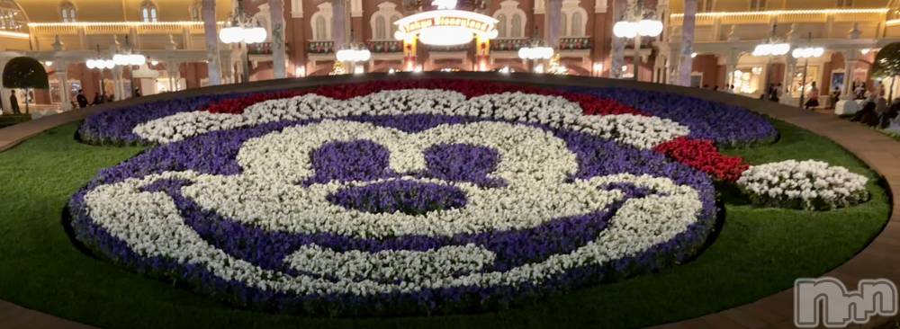 ��ë����Х��顦�����CLUB��Paladin(����֡��ѥ�ǥ���) �����12��26���̥�֥�����🌙��