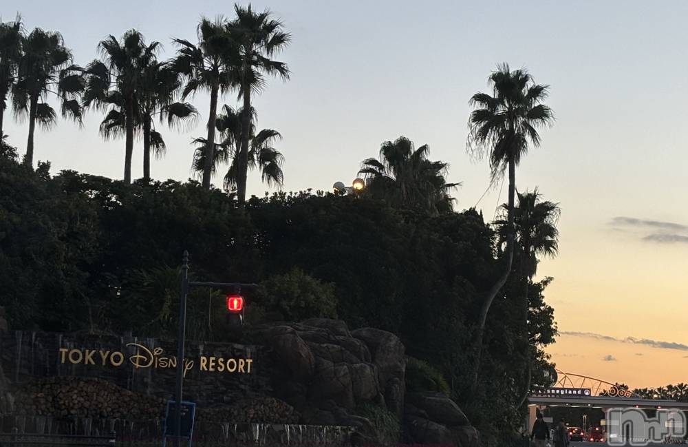 ��ë����Х��顦�����CLUB��Paladin(����֡��ѥ�ǥ���) �����1��12���̥�֥�����🌙��