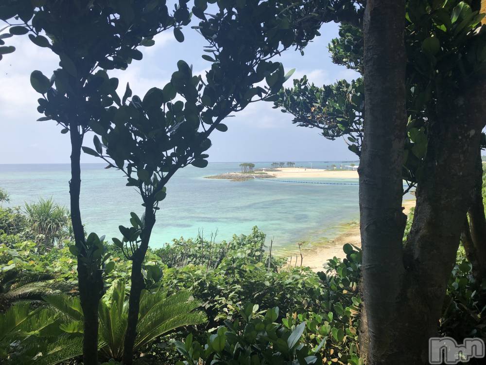 ��ë����Х��顦�����CLUB��Paladin(����֡��ѥ�ǥ���) �����1��18���̥�֥�����🌙��