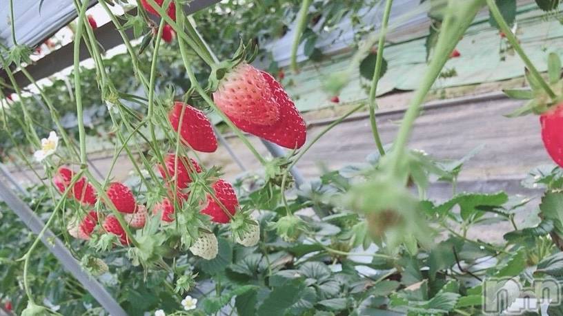 ��ë����Х��顦�����CLUB��Paladin(����֡��ѥ�ǥ���) �����1��30���̥�֥�����🌙��