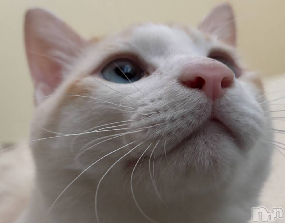 ��ë����Х��顦�����CLUB��Paladin(����֡��ѥ�ǥ���) �����2��11���̥�֥�����🌙��