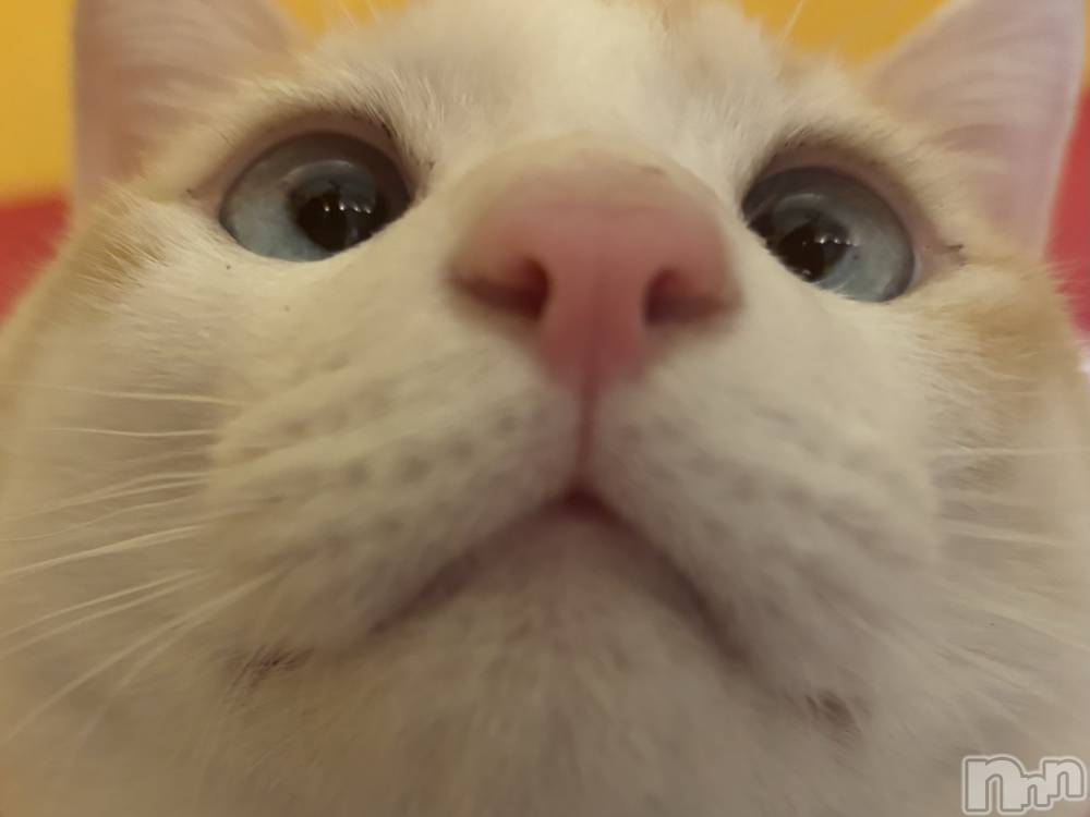 ��ë����Х��顦�����CLUB��Paladin(����֡��ѥ�ǥ���) �����2��13���̥�֥�����🌙��