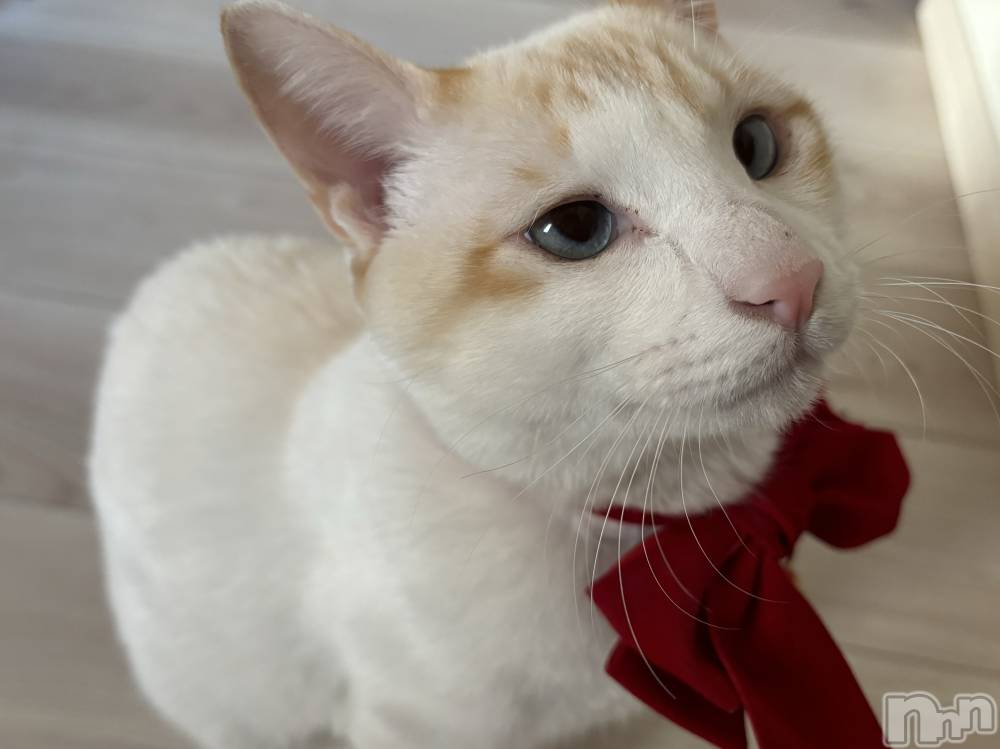 ��ë����Х��顦�����CLUB��Paladin(����֡��ѥ�ǥ���) �����2��14���̥�֥�����🌙��