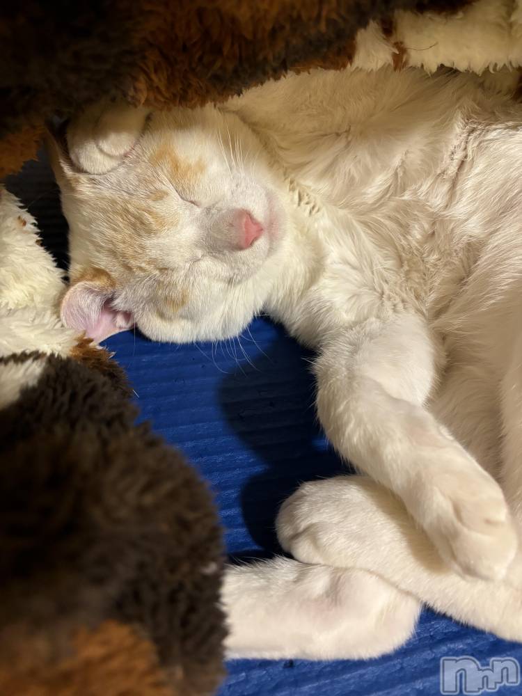 ��ë����Х��顦�����CLUB��Paladin(����֡��ѥ�ǥ���) �����3��14���̥�֥�����🌙��