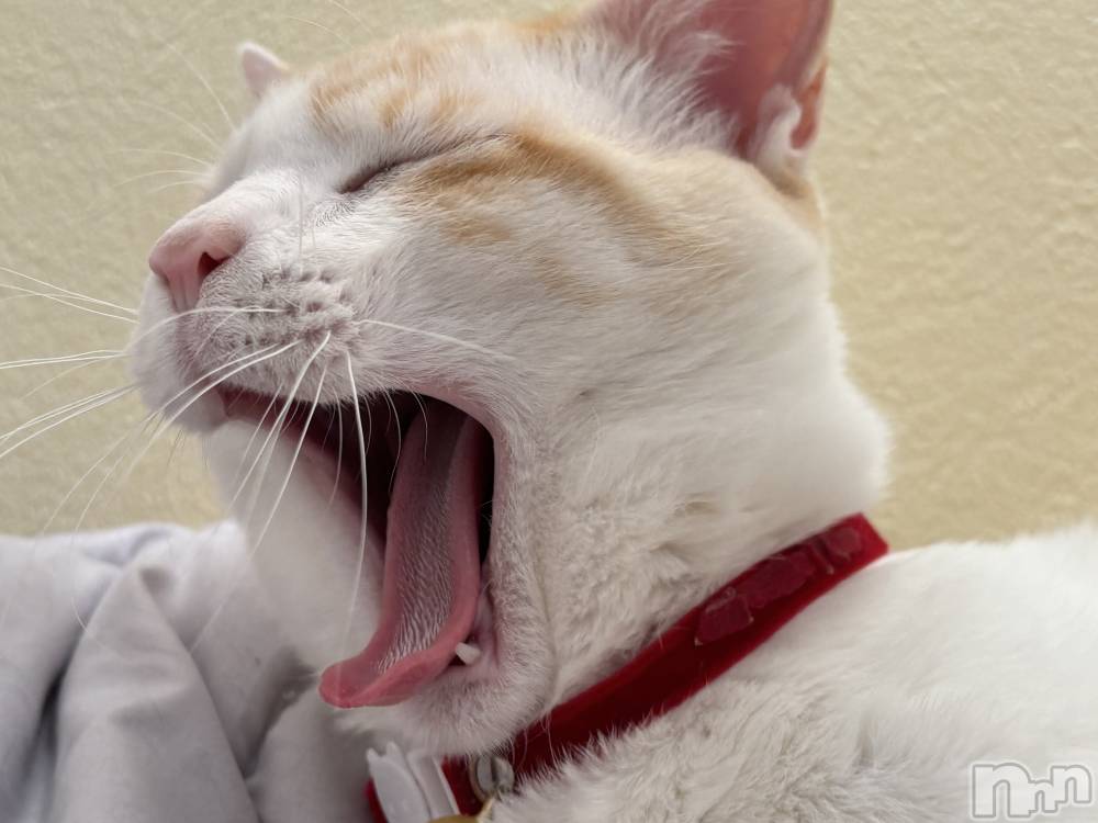 ��ë����Х��顦�����CLUB��Paladin(����֡��ѥ�ǥ���) �����4��2���̥�֥�����🌙��