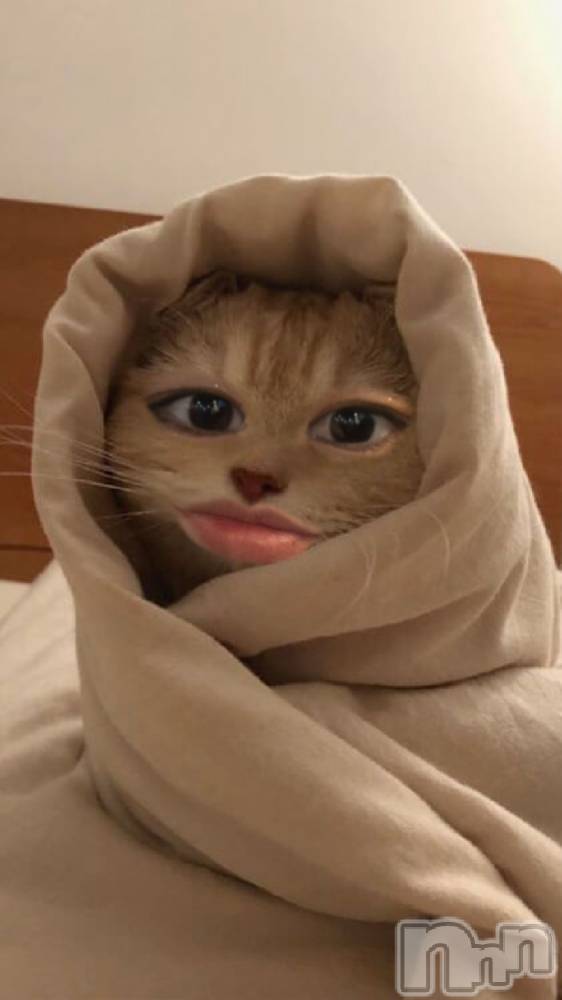 ��ë����Х��顦�����CLUB��Paladin(����֡��ѥ�ǥ���) �����4��3���̥�֥�����🌙��