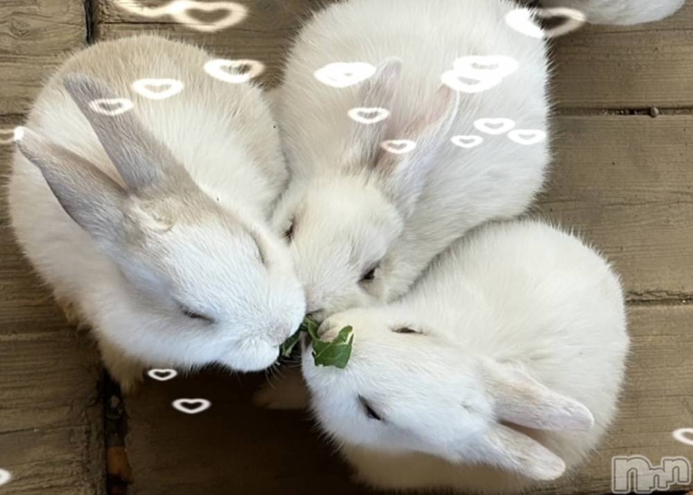 ��ë����Х��顦�����CLUB��Paladin(����֡��ѥ�ǥ���) �����4��17���̥�֥�����🌙��