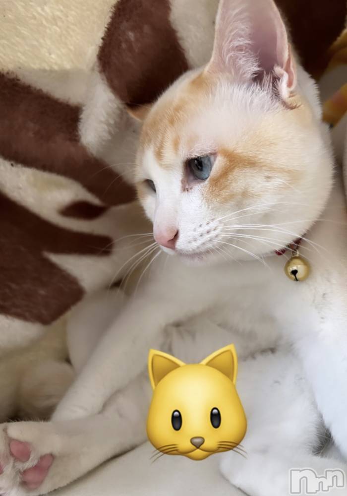 ��ë����Х��顦�����CLUB��Paladin(����֡��ѥ�ǥ���) �����5��24���̥�֥�����🌙��