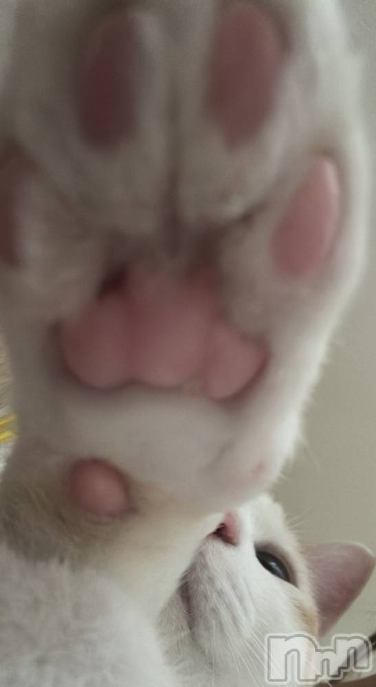 ��ë����Х��顦�����CLUB��Paladin(����֡��ѥ�ǥ���) �����7��11���̥�֥�����🌙��