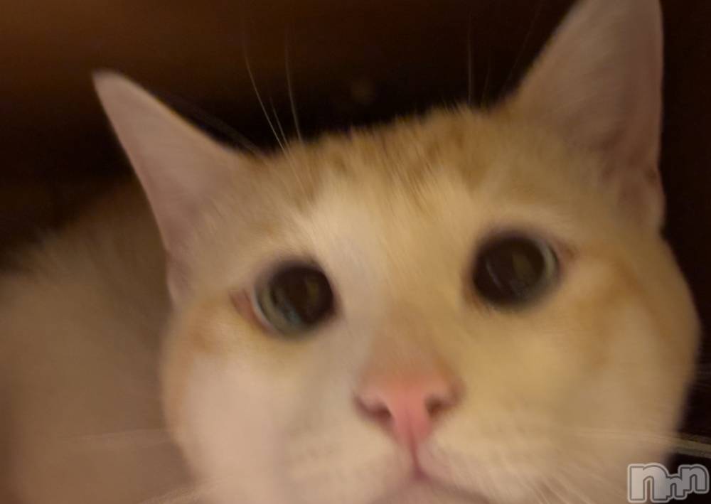 ��ë����Х��顦�����CLUB��Paladin(����֡��ѥ�ǥ���) �����8��8���̥�֥�����🌙��