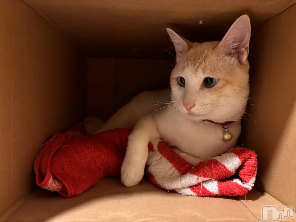 ��ë����Х��顦�����CLUB��Paladin(����֡��ѥ�ǥ���) �����10��2���̥�֥����֤�äѤ�..🐱��