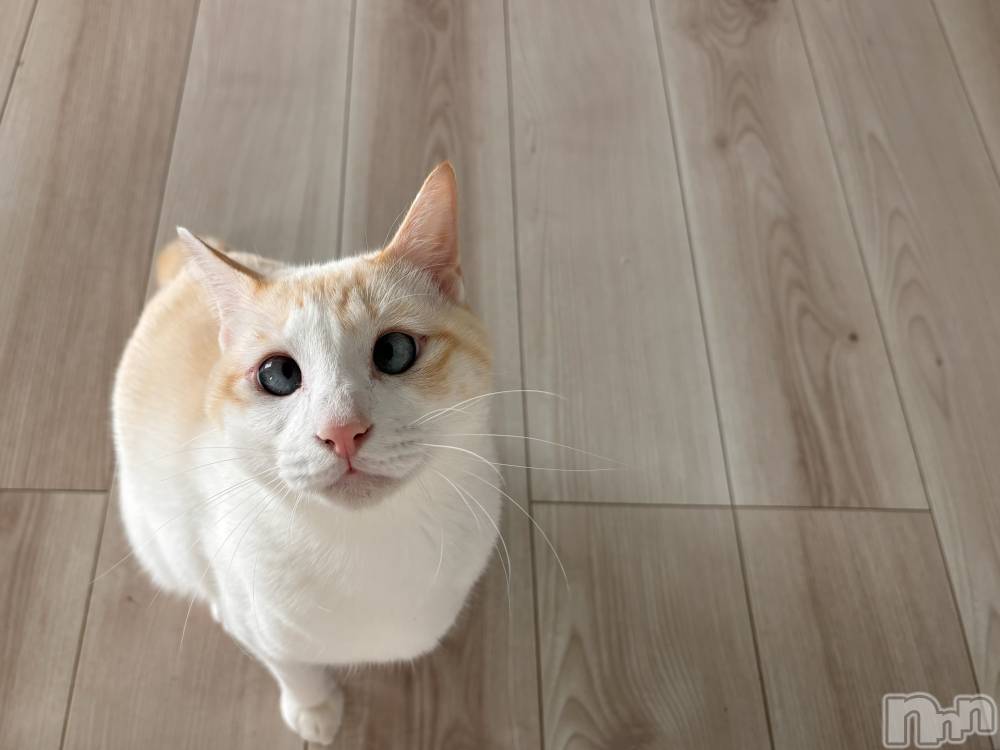 ��ë����Х��顦�����CLUB��Paladin(����֡��ѥ�ǥ���) �����10��16���̥�֥�����¿ʬ🤔��