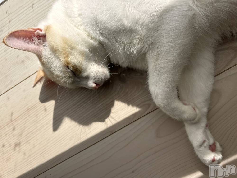 ��ë����Х��顦�����CLUB��Paladin(����֡��ѥ�ǥ���) �����10��23���̥�֥����֤��褤���