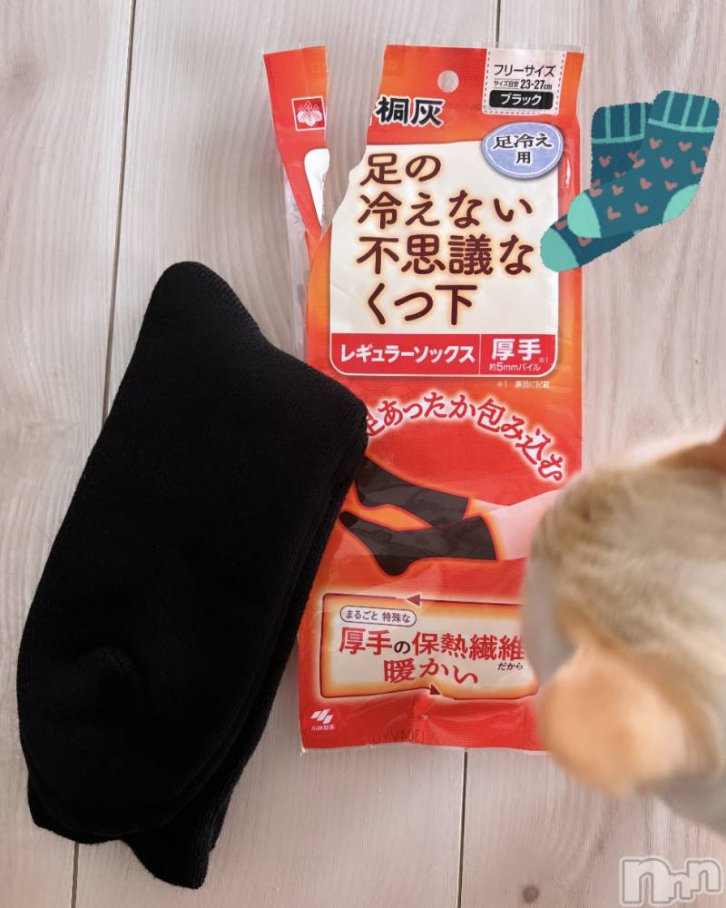 ��ë����Х��顦�����CLUB��Paladin(����֡��ѥ�ǥ���) �����11��10���̥�֥������Ի׵Ĥʤ��Ĳ���