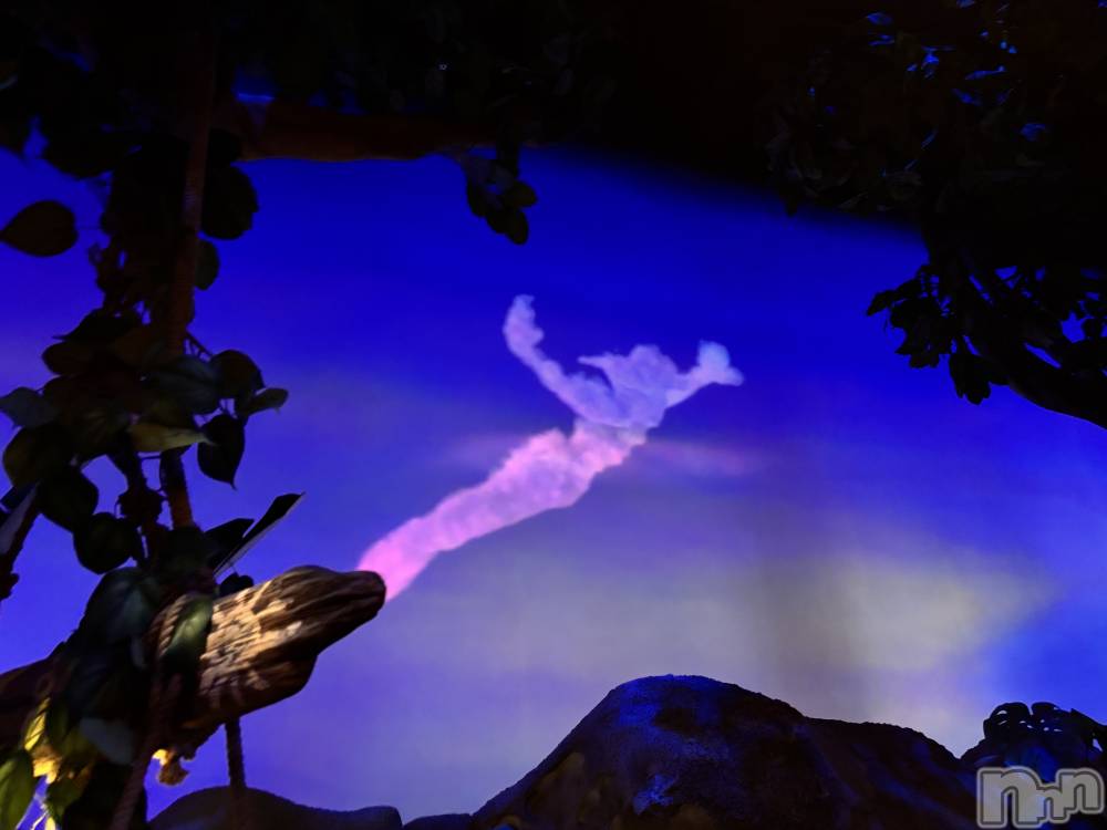 ��ë����Х��顦�����CLUB��Paladin(����֡��ѥ�ǥ���) �����1��11���̥�֥����֤ɡ�����🌟��