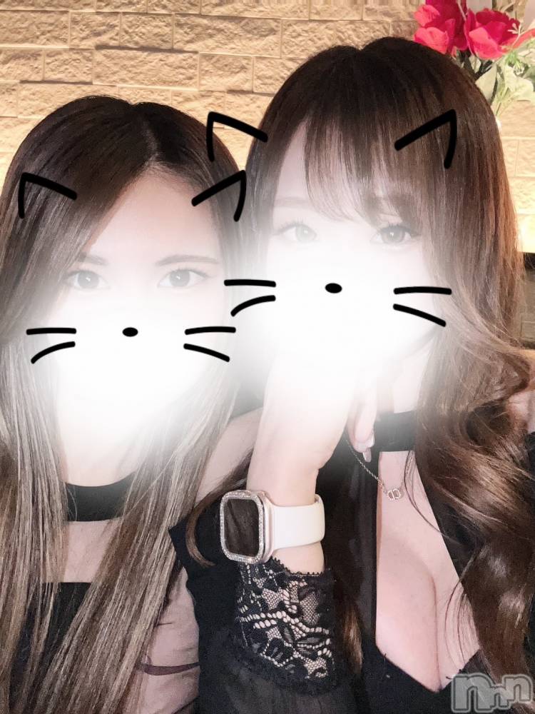 ��ë����Х��顦�����CLUB��Paladin(����֡��ѥ�ǥ���) �����2��19���̥�֥����ֺǶ��