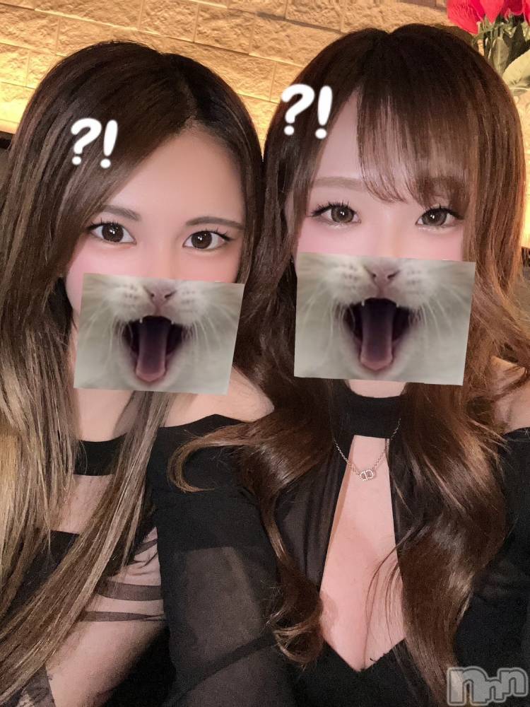 ��ë����Х��顦�����CLUB��Paladin(����֡��ѥ�ǥ���) ŷ�ȡ����Ȥ�3��22���̥�֥�����🐱?!��