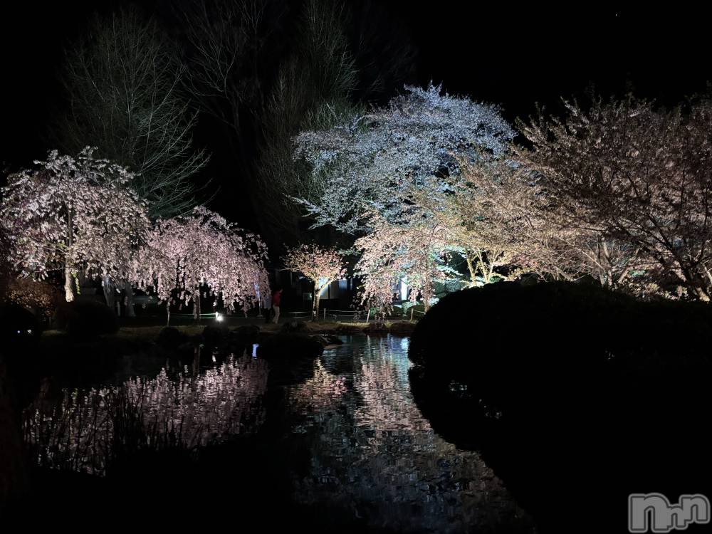 ��ë����Х��顦�����CLUB��Paladin(����֡��ѥ�ǥ���) �����4��22���̥�֥��������🌸��